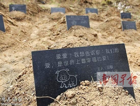 國內(nèi)一些城市已在嘗試建立“寵物公墓”1