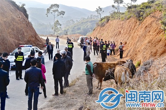 在兩村交界處，民警宣讀鑒定結果，村民圍觀