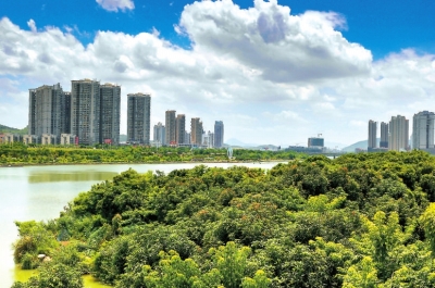 西溪兩岸郁郁蔥蔥，生機(jī)盎然