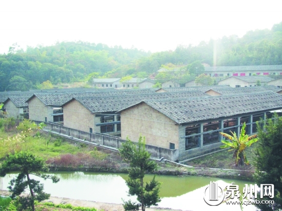 標準化的豬舍經(jīng)過挑高設計