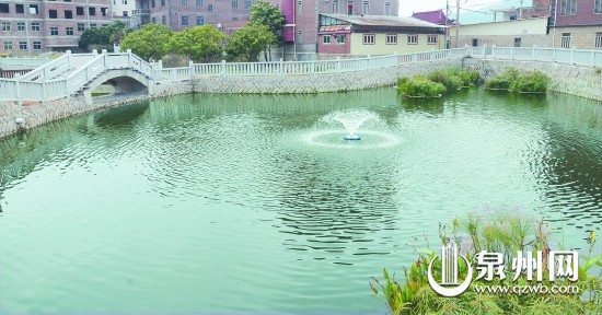 馬甲鎮(zhèn)新民村的氧化塘。