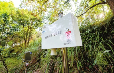 設(shè)立在靈應(yīng)寺景區(qū)內(nèi)的大氣負(fù)（氧）離子監(jiān)測設(shè)備。