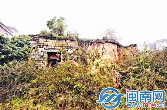 槐山村一處古窯，已經(jīng)被草叢包圍