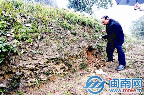 在田埂上，隨便一挖可見瓷片堆積