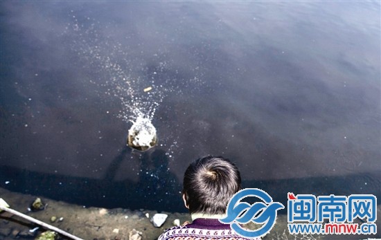 阿寶的樂園，是家門口那灣水塘