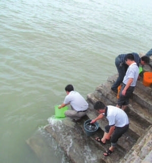 市農(nóng)業(yè)與海洋局在圍頭灣石井海域開展鱸魚增殖放流活動(dòng)