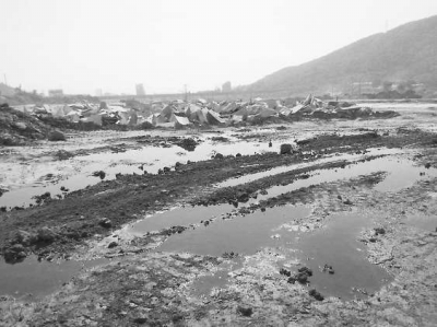 水頭鎮(zhèn)永泉山生態(tài)園內(nèi)，一家養(yǎng)殖場將污水排到了金都