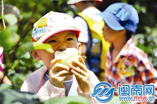 剛摘下來(lái)的梨子，忍不住先咬一口